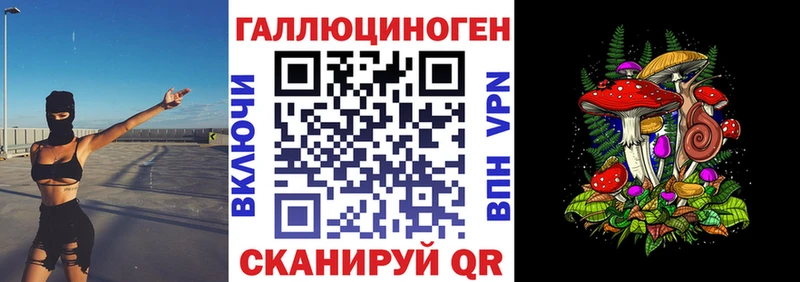 Галлюциногенные грибы Psilocybe  цена наркотик  mega   Волосово 